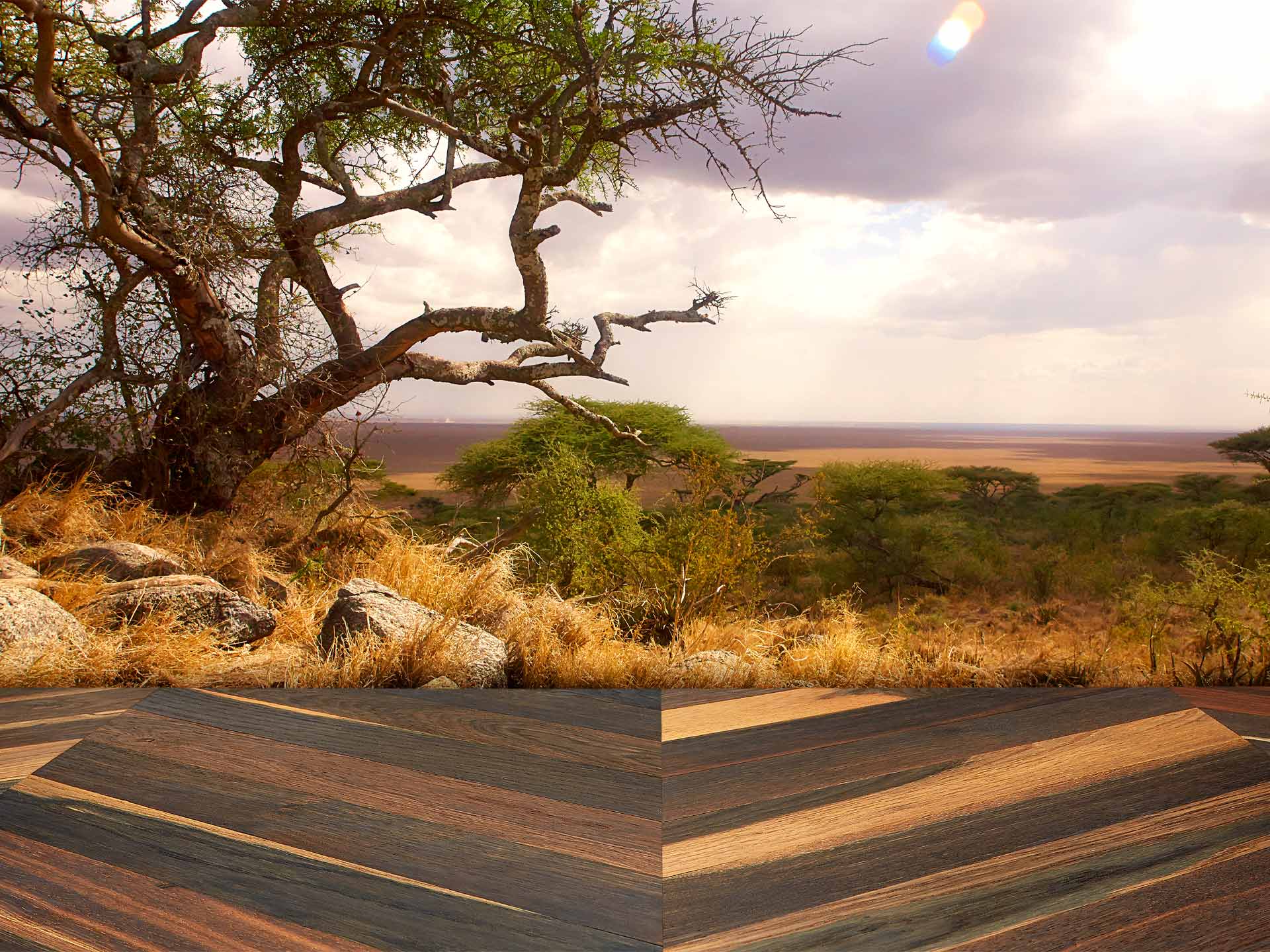 fischgraetparkett-raeuchereiche-wildlife Fischgrätparkett in Räuchereiche trifft auf eine afrikanische Landschaft